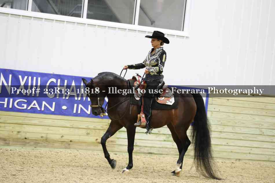 Proof Number 23R13_11818