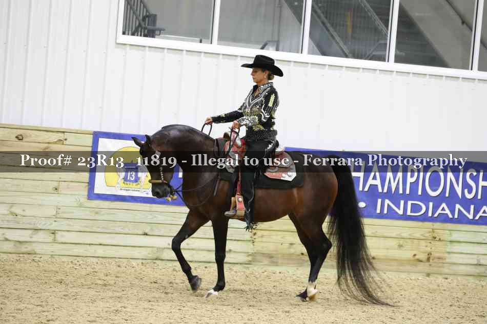 Proof Number 23R13_11819