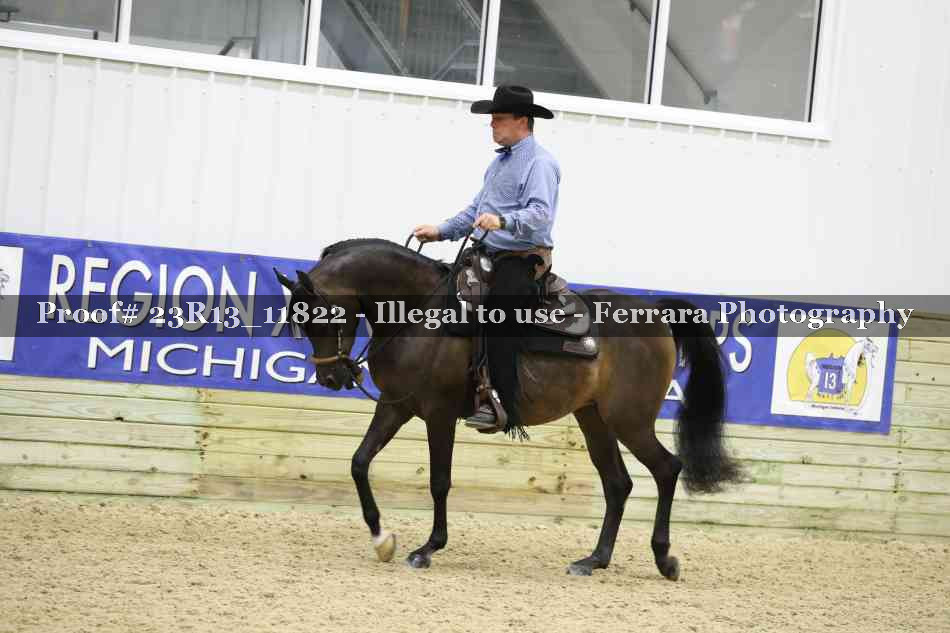 Proof Number 23R13_11822