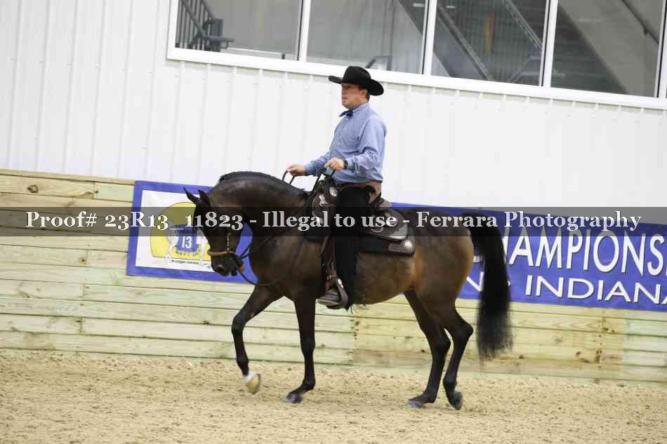 Proof Number 23R13_11823