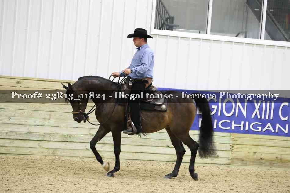 Proof Number 23R13_11824