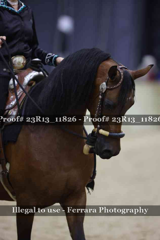 Proof Number 23R13_11826