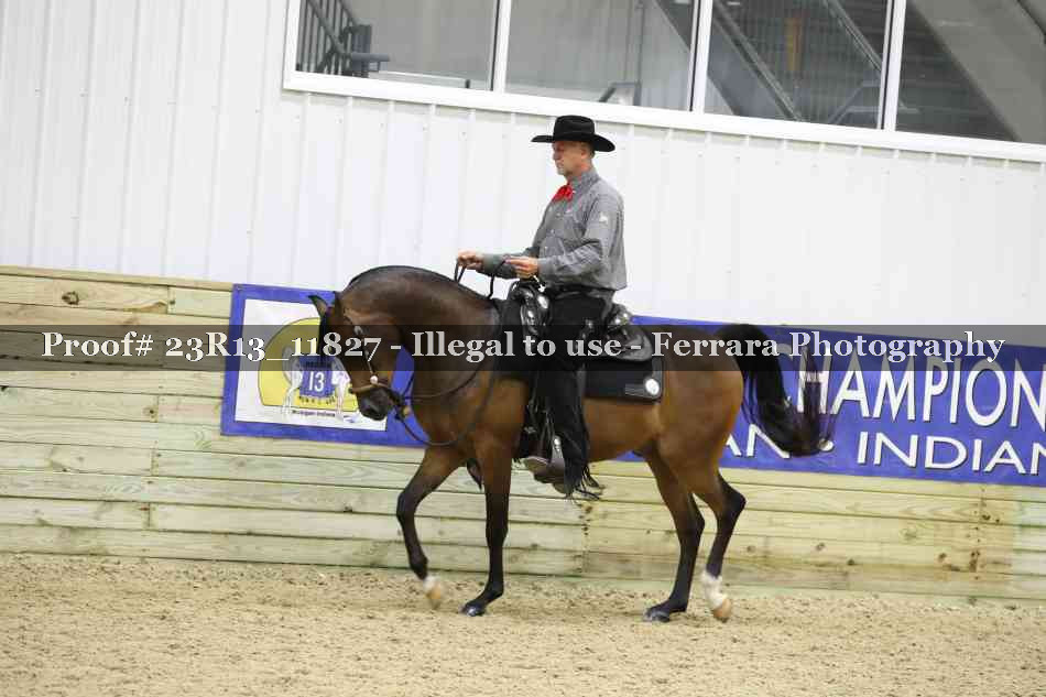 Proof Number 23R13_11827