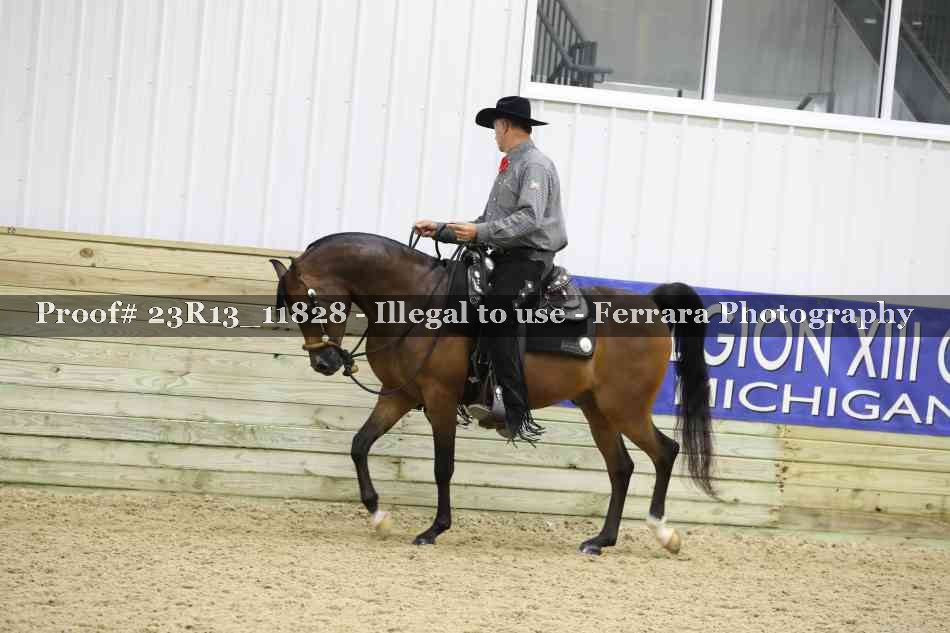 Proof Number 23R13_11828