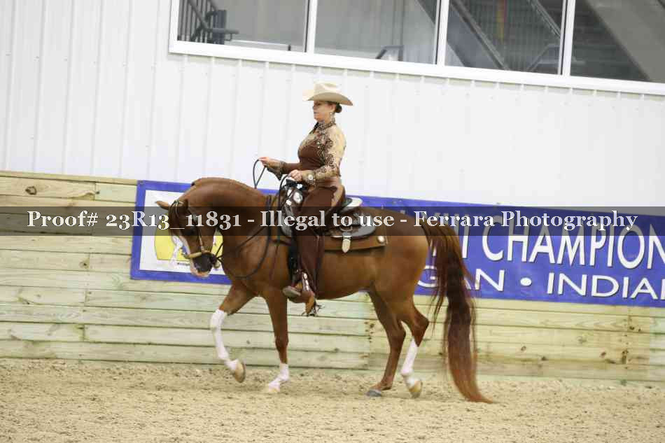 Proof Number 23R13_11831