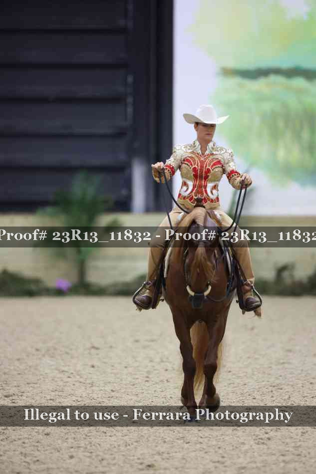 Proof Number 23R13_11832