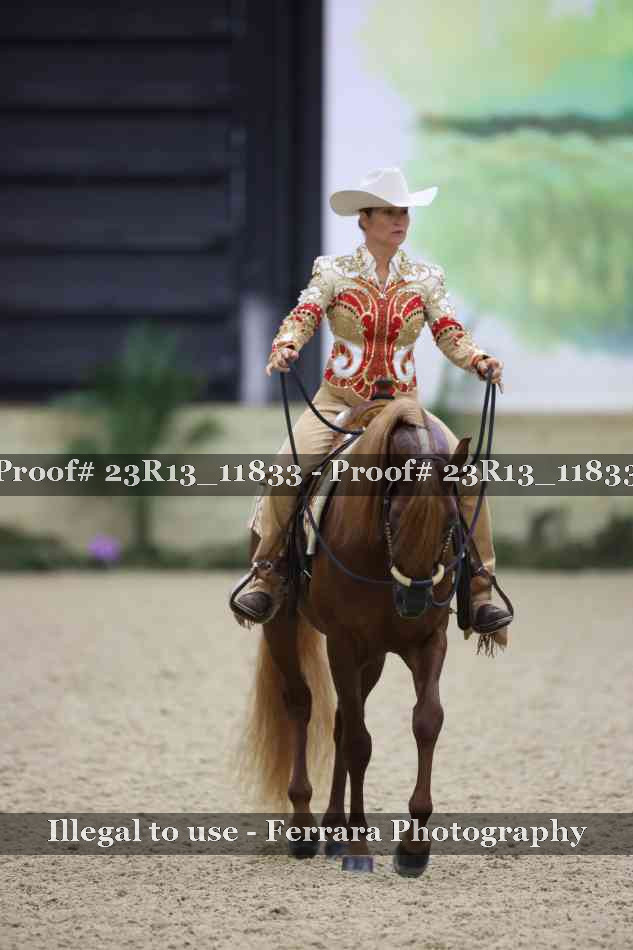 Proof Number 23R13_11833