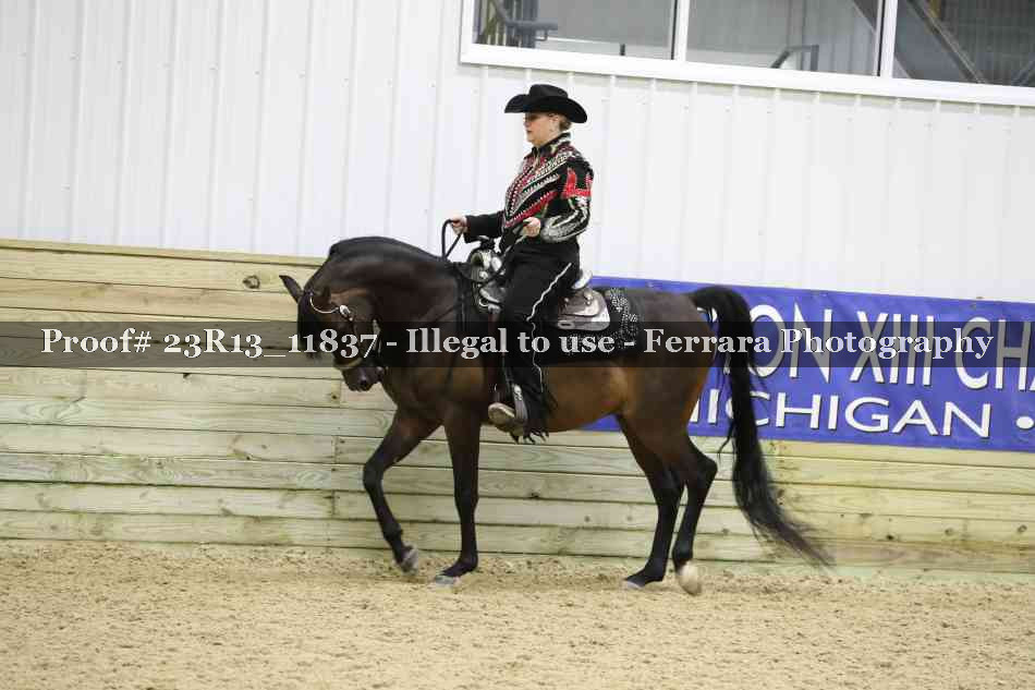 Proof Number 23R13_11837