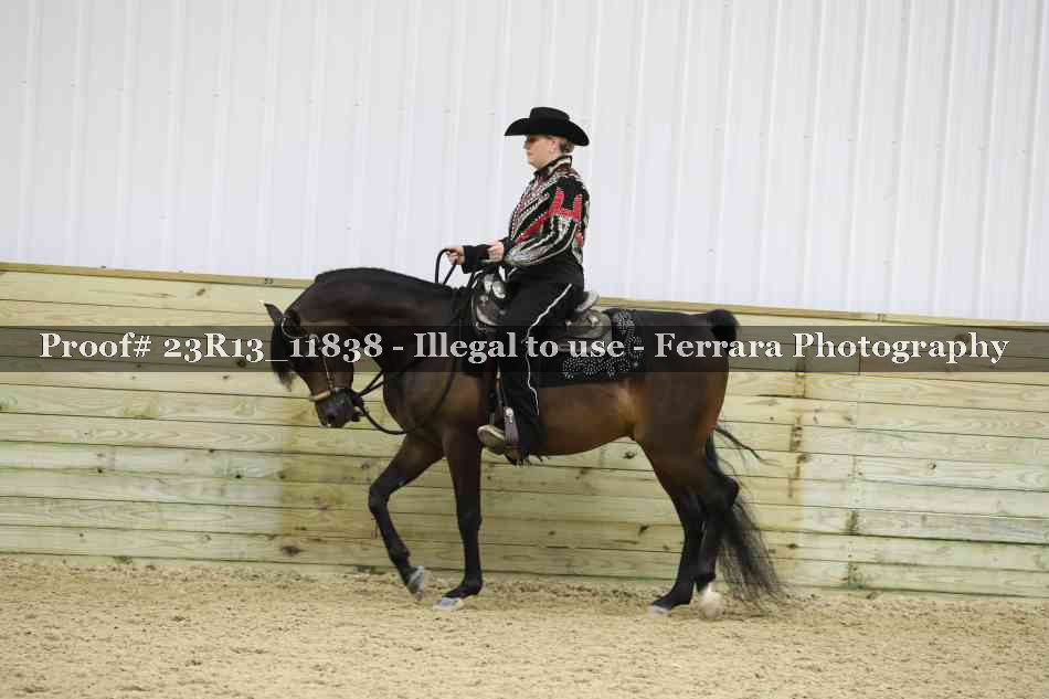 Proof Number 23R13_11838