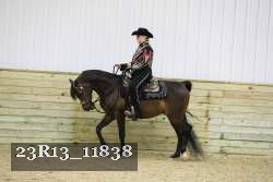 23R13_11838 thumbnail