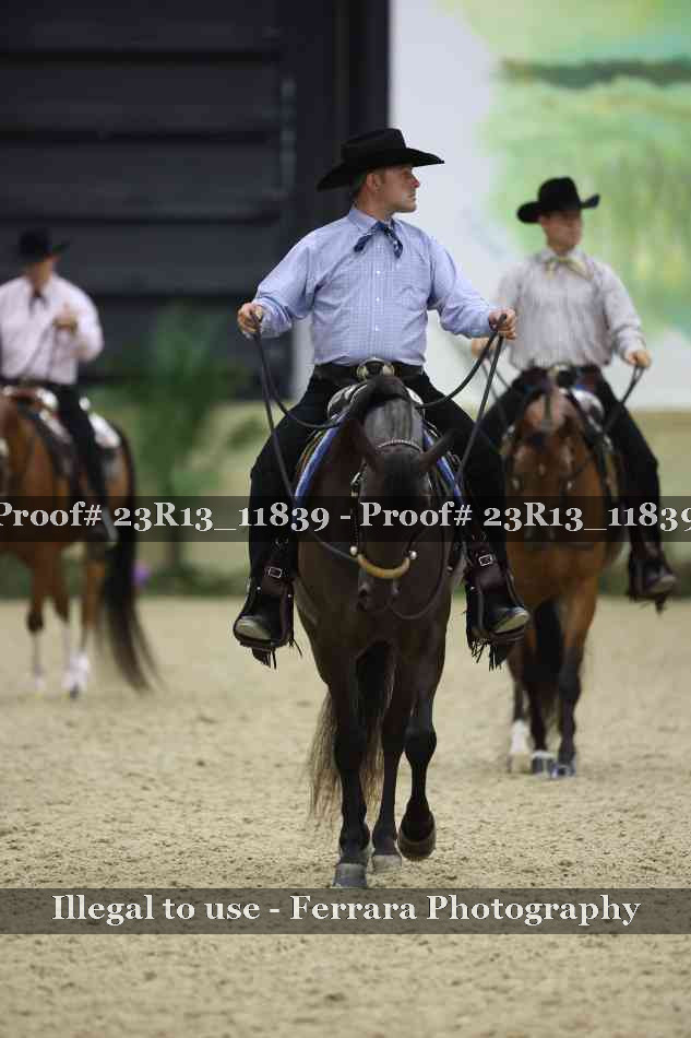 Proof Number 23R13_11839