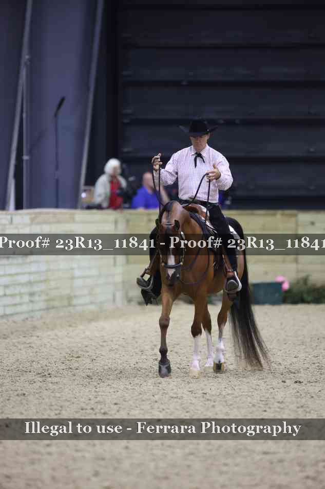 Proof Number 23R13_11841