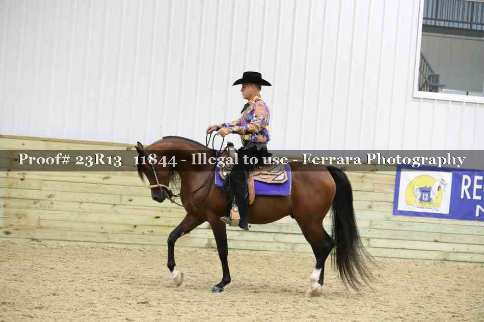 Proof Number 23R13_11844