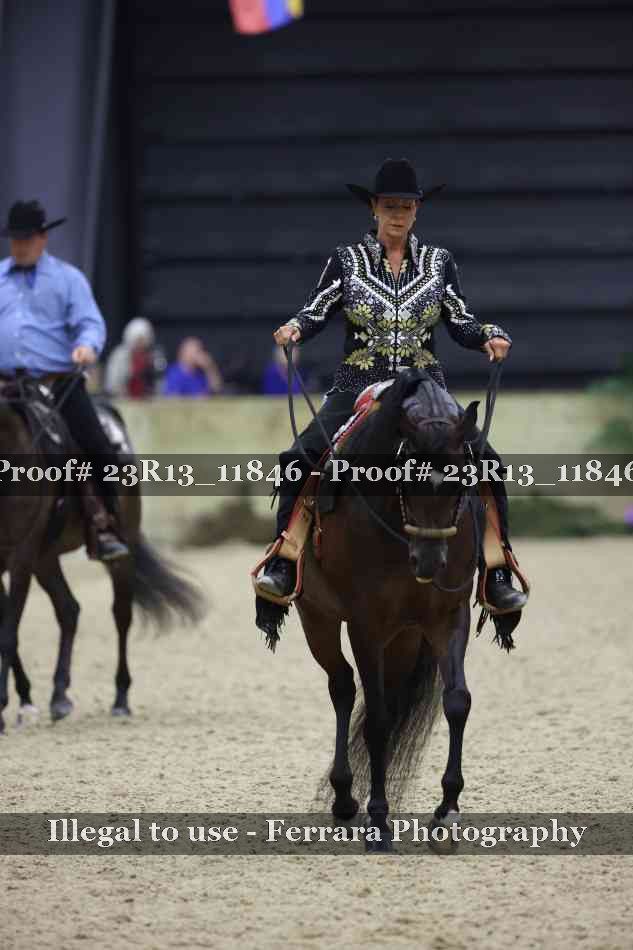 Proof Number 23R13_11846