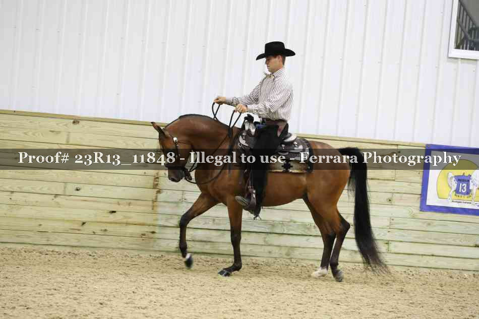 Proof Number 23R13_11848