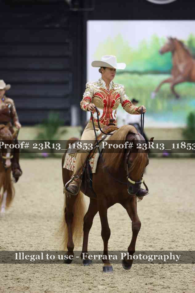Proof Number 23R13_11853