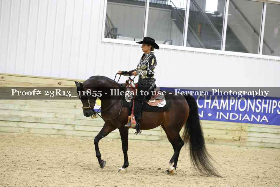 Proof Number 23R13_11855