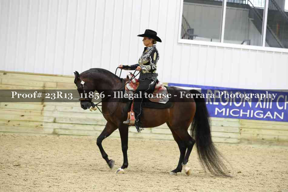 Proof Number 23R13_11856