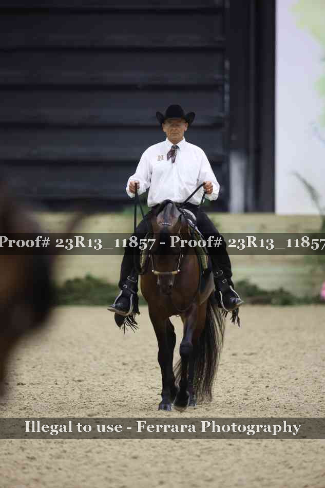 Proof Number 23R13_11857