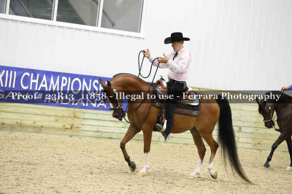 Proof Number 23R13_11858