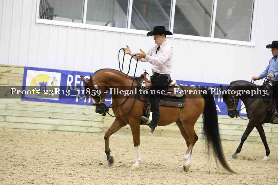 Proof Number 23R13_11859