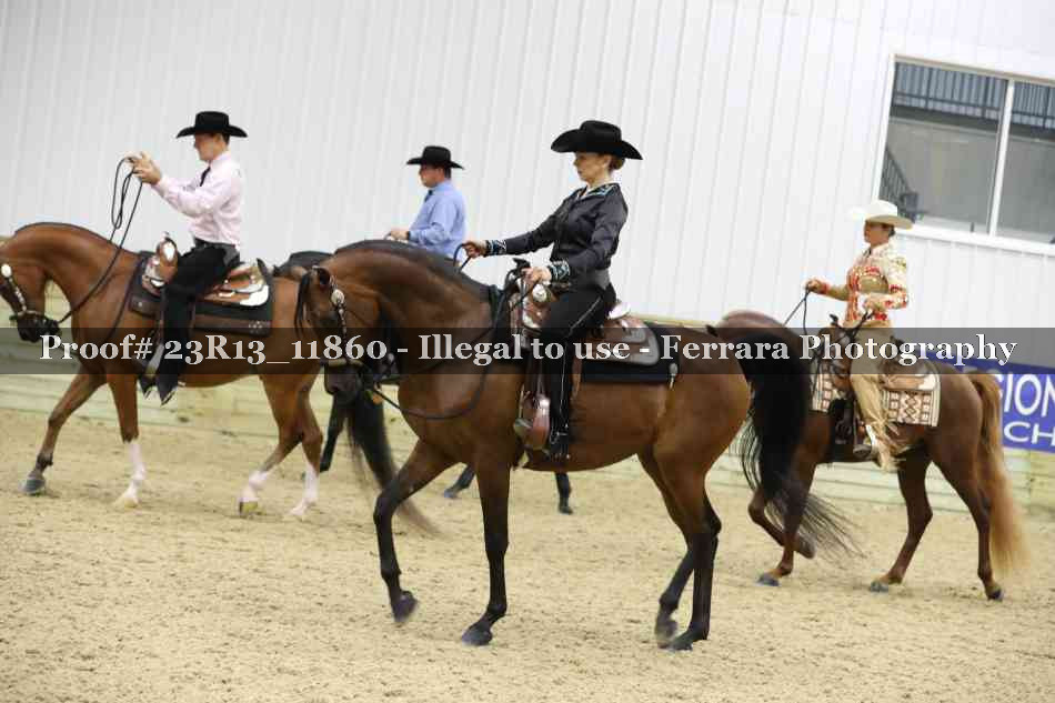 Proof Number 23R13_11860