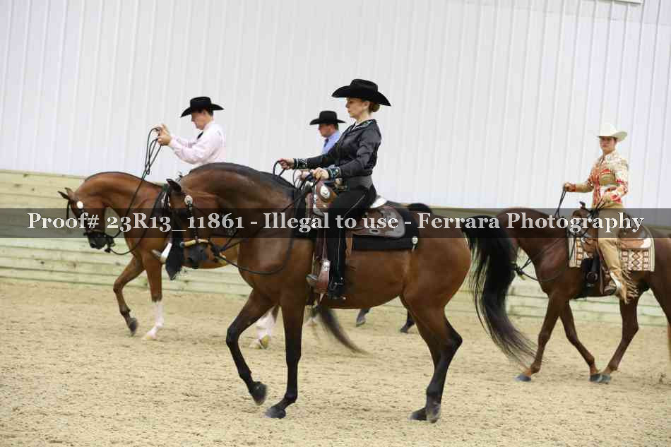 Proof Number 23R13_11861