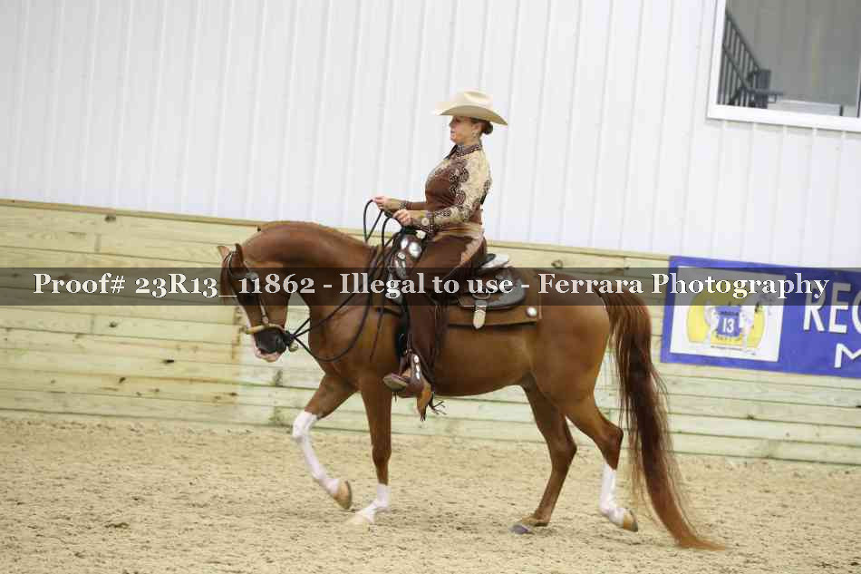 Proof Number 23R13_11862