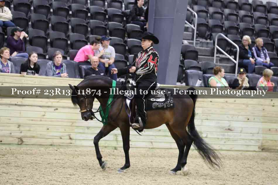 Proof Number 23R13_11874