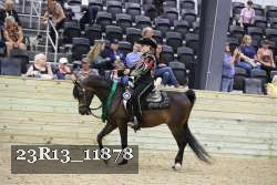 23R13_11878 thumbnail