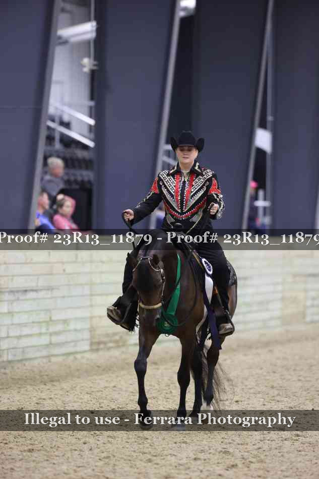 Proof Number 23R13_11879