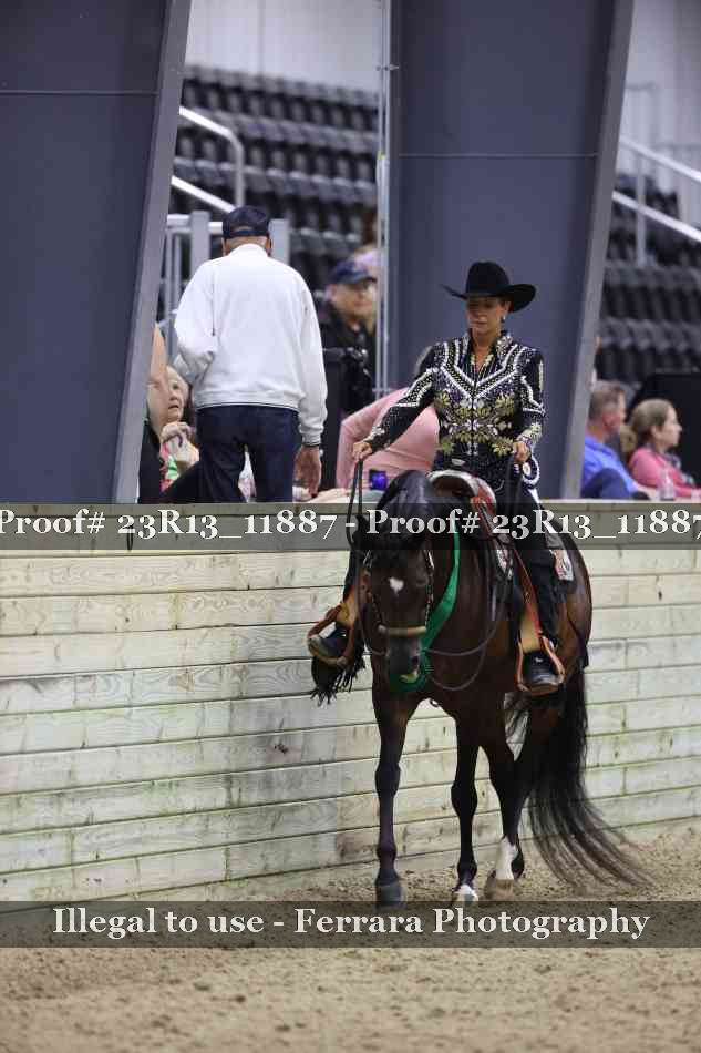 Proof Number 23R13_11887