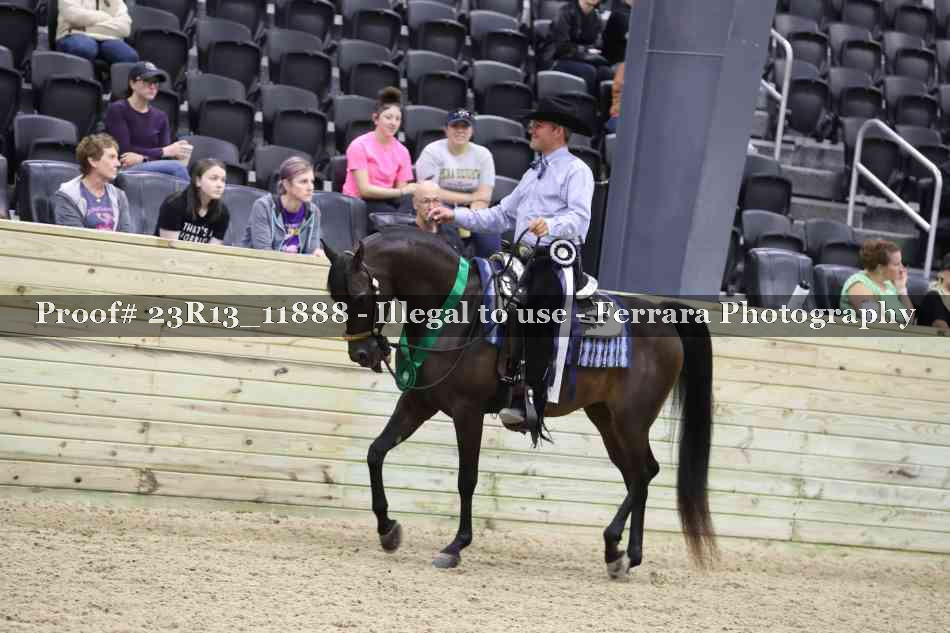 Proof Number 23R13_11888