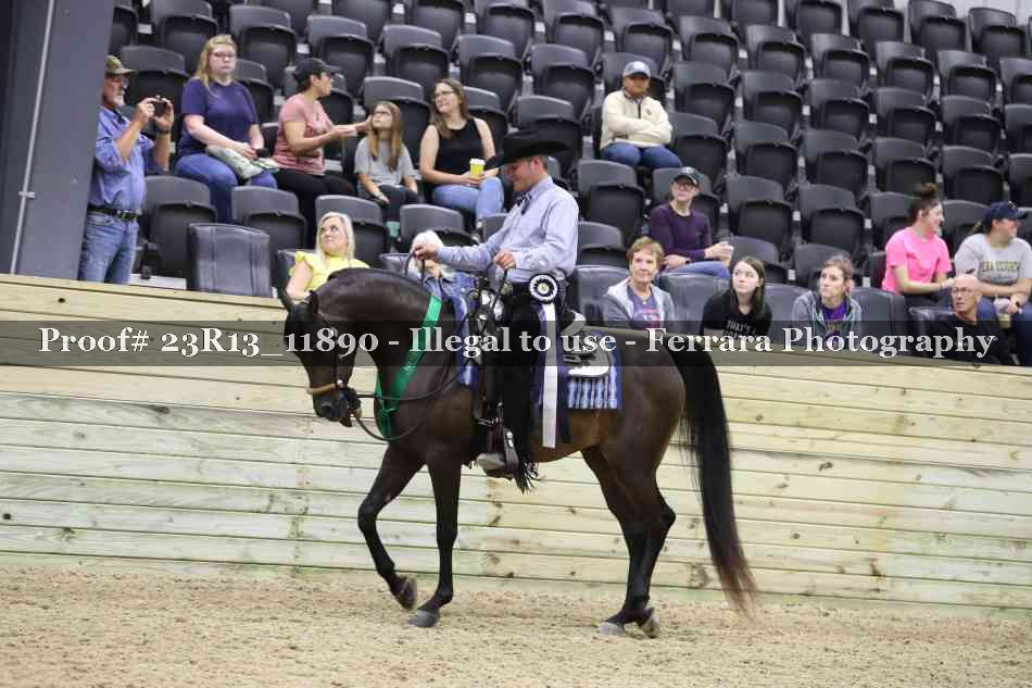 Proof Number 23R13_11890