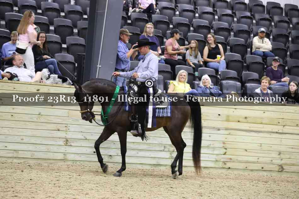 Proof Number 23R13_11891