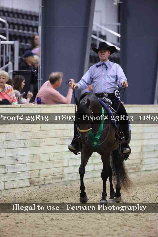 Proof Number 23R13_11893