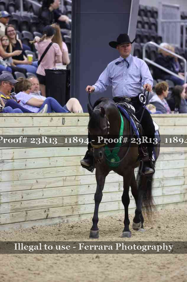Proof Number 23R13_11894