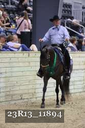 23R13_11894 thumbnail