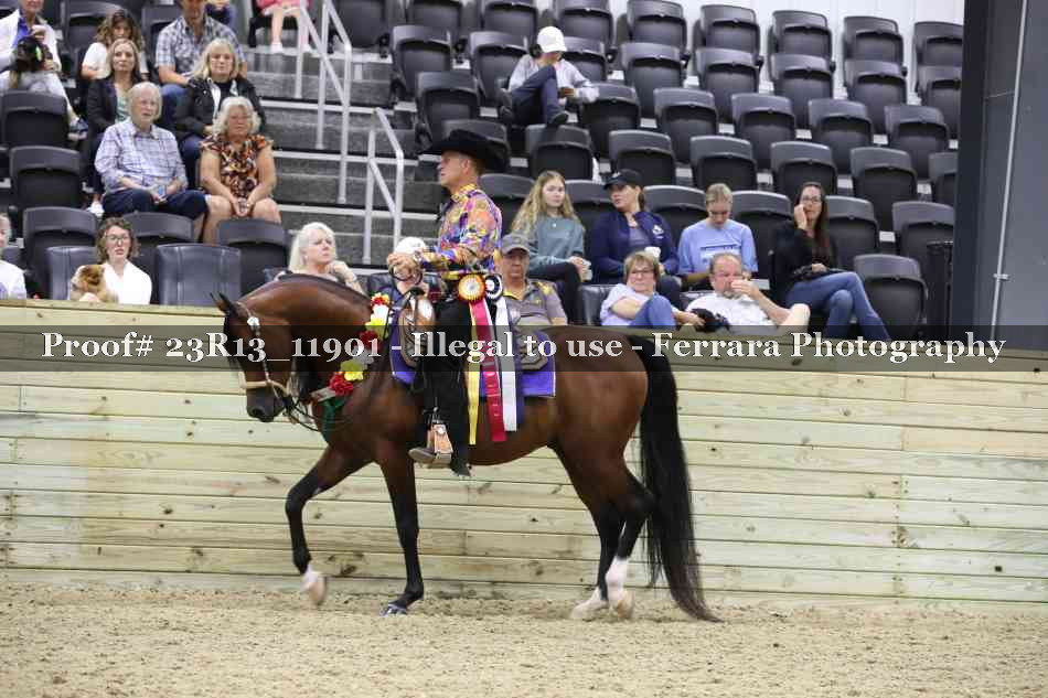 Proof Number 23R13_11901