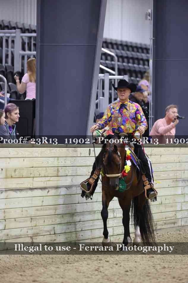 Proof Number 23R13_11902
