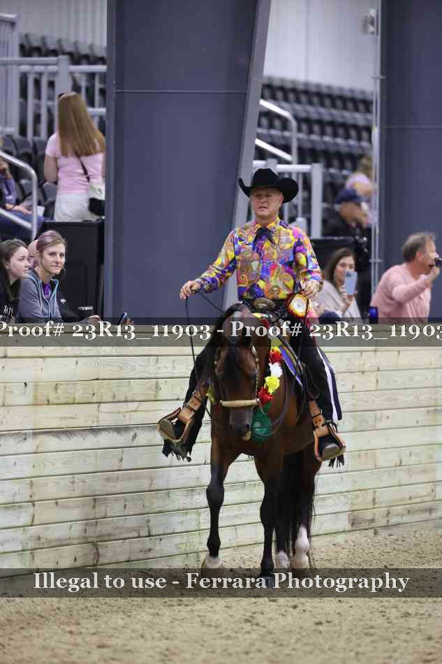 Proof Number 23R13_11903