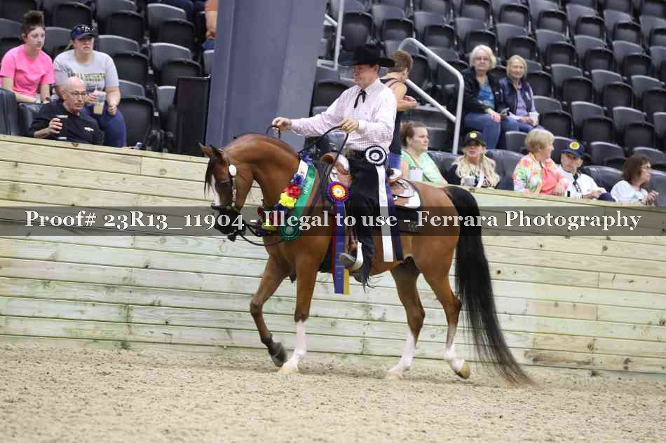 Proof Number 23R13_11904