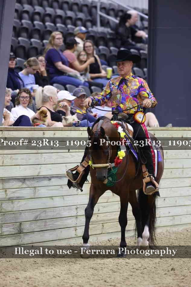 Proof Number 23R13_11905