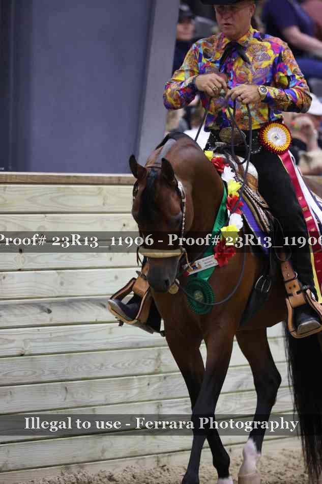 Proof Number 23R13_11906