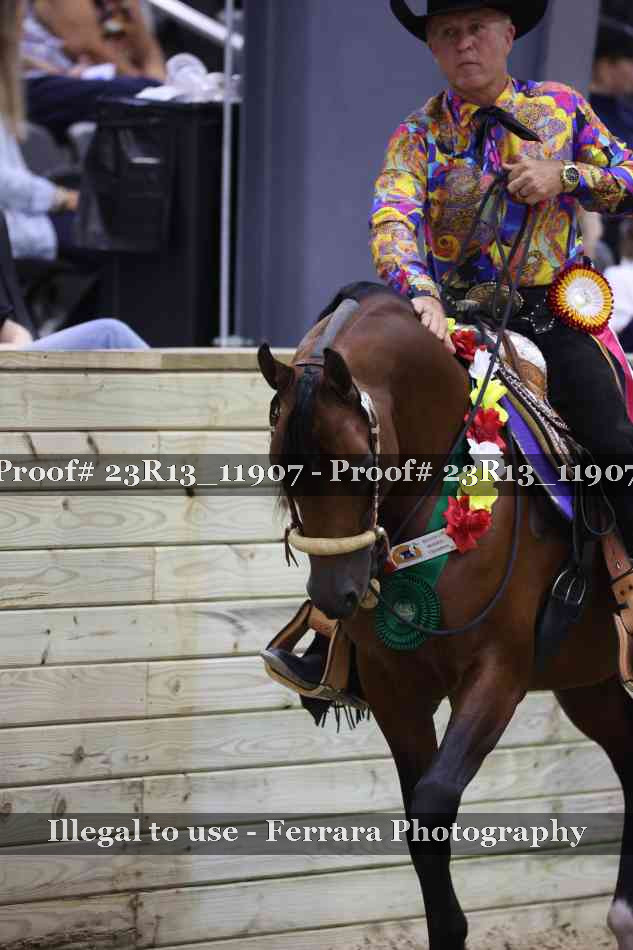 Proof Number 23R13_11907