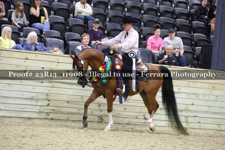 Proof Number 23R13_11908