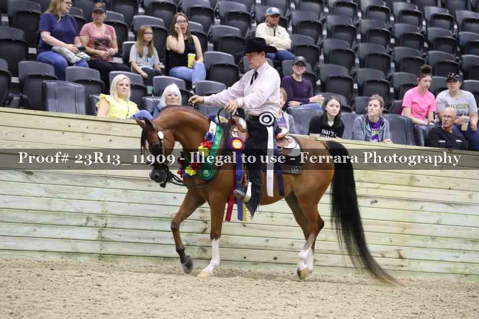 Proof Number 23R13_11909
