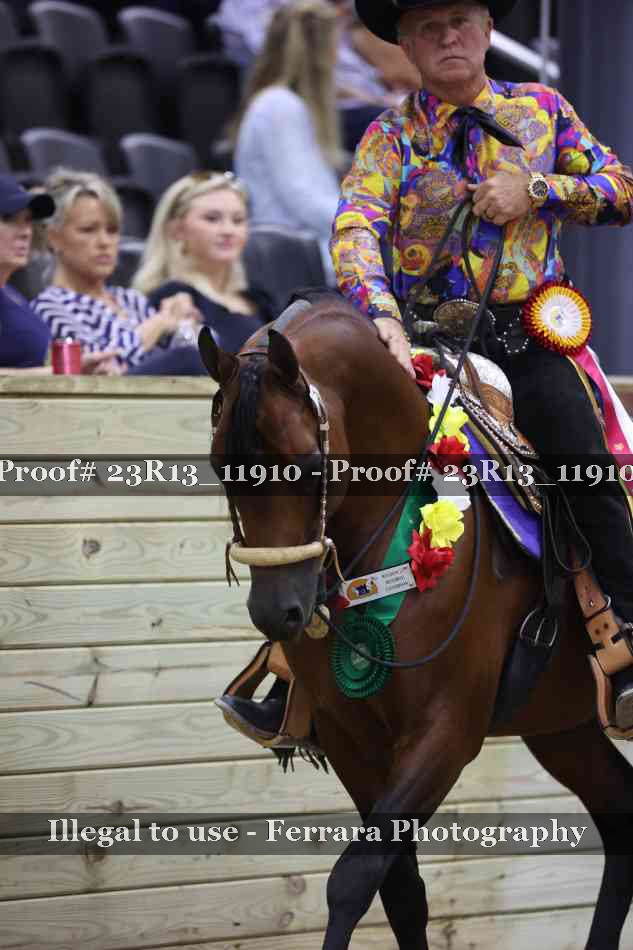 Proof Number 23R13_11910
