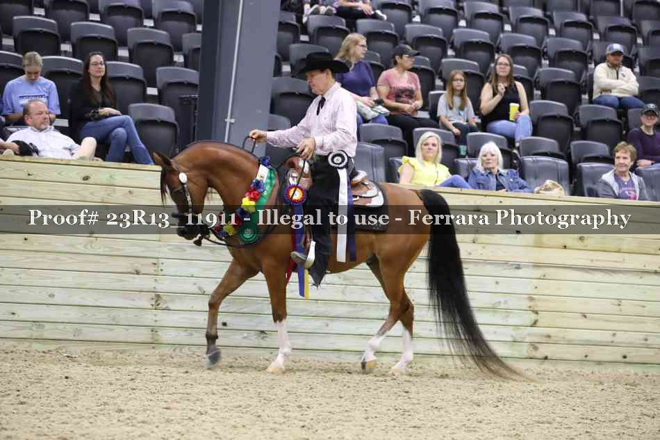 Proof Number 23R13_11911