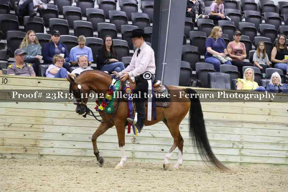 Proof Number 23R13_11912